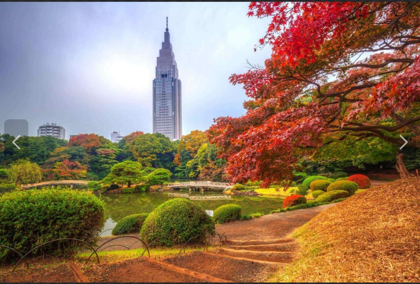 诚信东新宿 Tokio Exterior foto